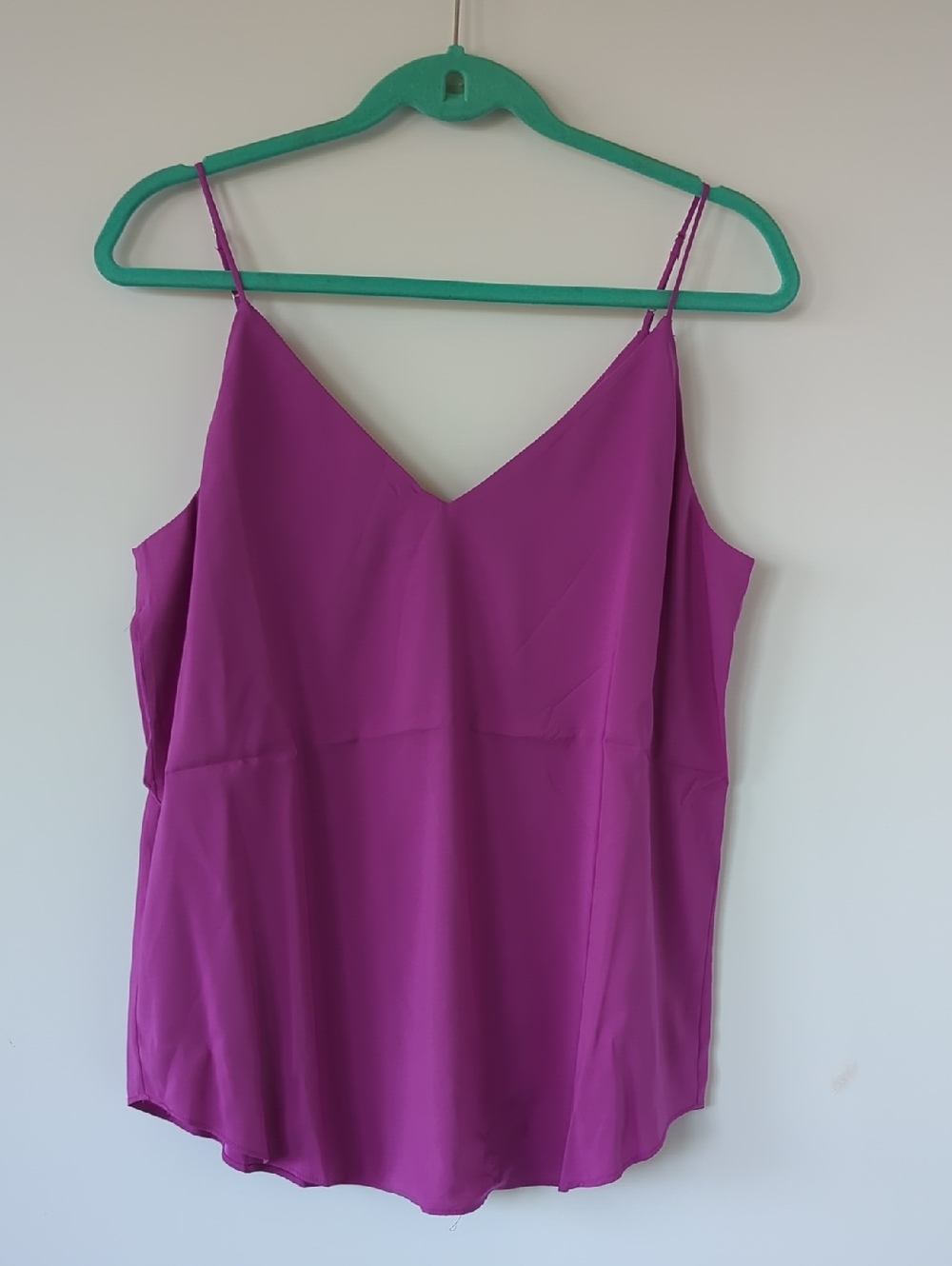 Express Dark Magenta V-Neck Spaghetti Strap Camisole W/Lining